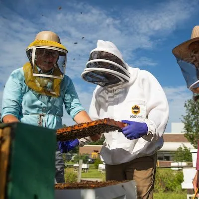 thumbnail for publication: Sample Pollination Agreement